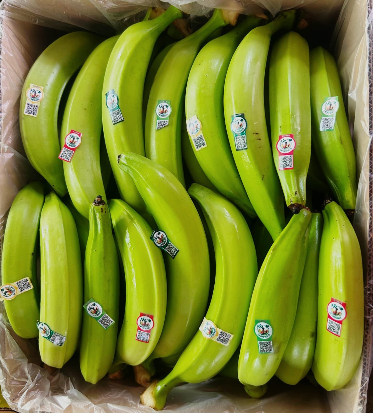 Frutas tropicales 1