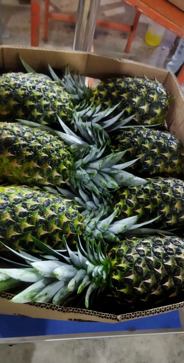 Frutas tropicales 2